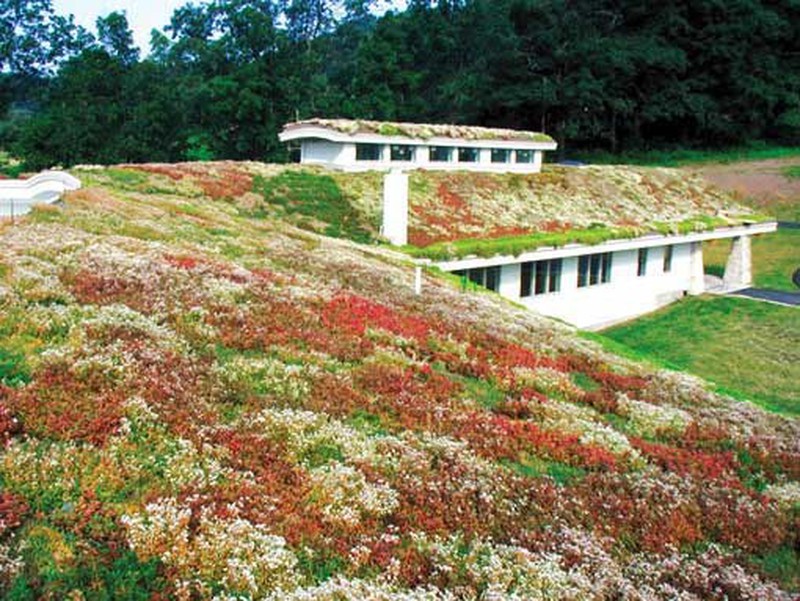 SUÍÇA: O PAÍS DOS TELHADOS VERDES