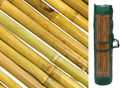 Canas de bambu em rolo