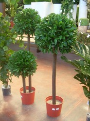 plantas artificiais