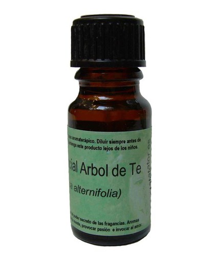 Aceite esencial Arbol de Te