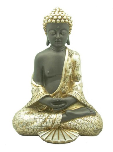 Buda de la meditacion con capa