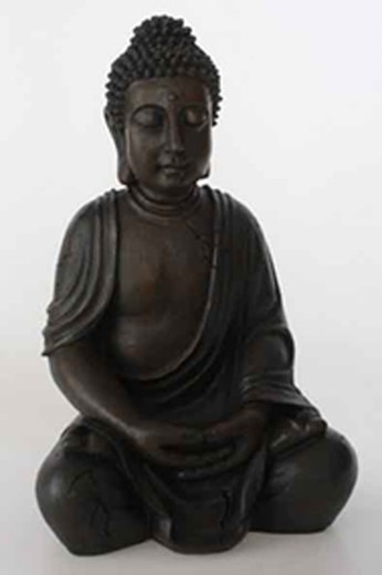 buddha dhyan mudra