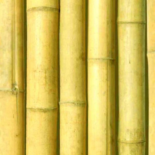 Decoração de interiores em cana de bambu comum (envernizado transparente)