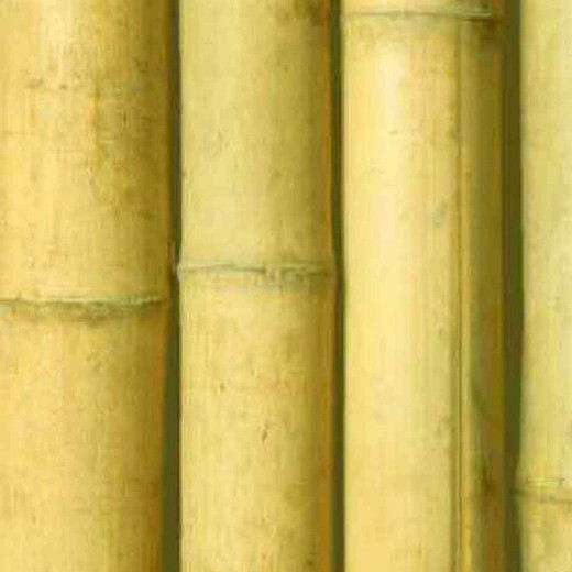 décoration en canne de bambou naturel