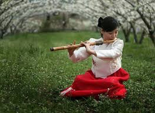 Caña bambú para instrumentos musicales