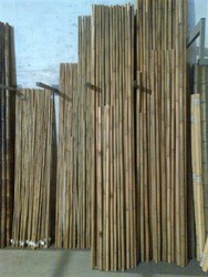 Caña bambú Tonkin Manualidades — dbambu