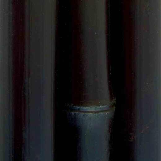 Caña de bambú pintada negra