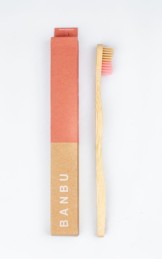 brosse à dents adulte