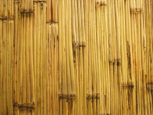 Panel de bambú Young 2440 x 1220 mm