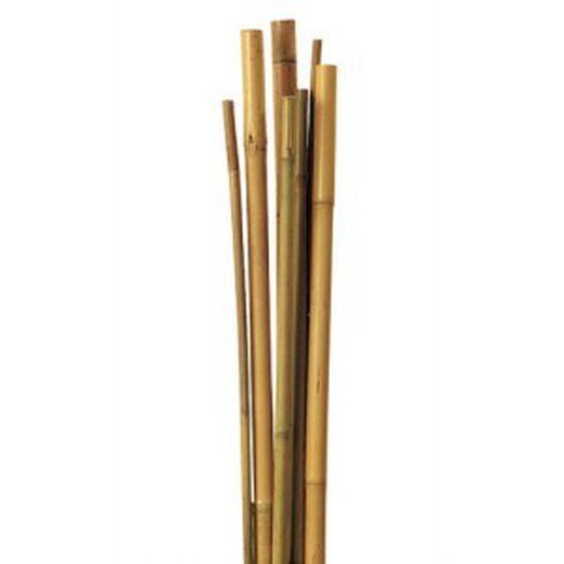 Tutores de bambú