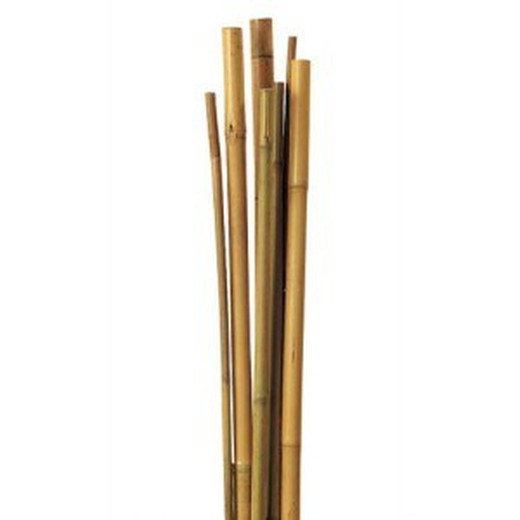 estacas de bambu