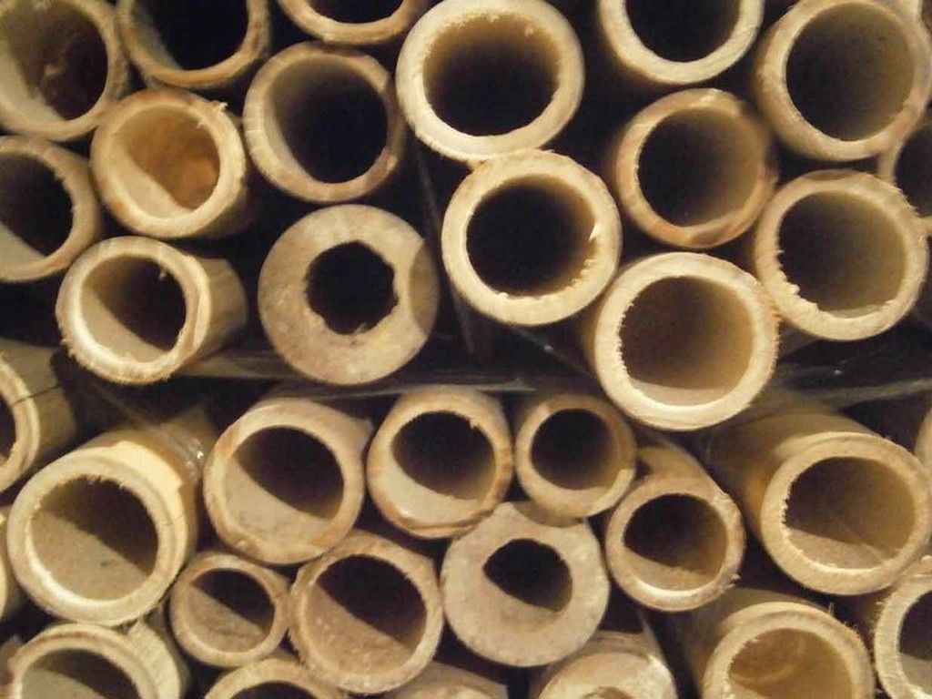 Cannes en bambou naturel pour jardin, décoration et bricolage.