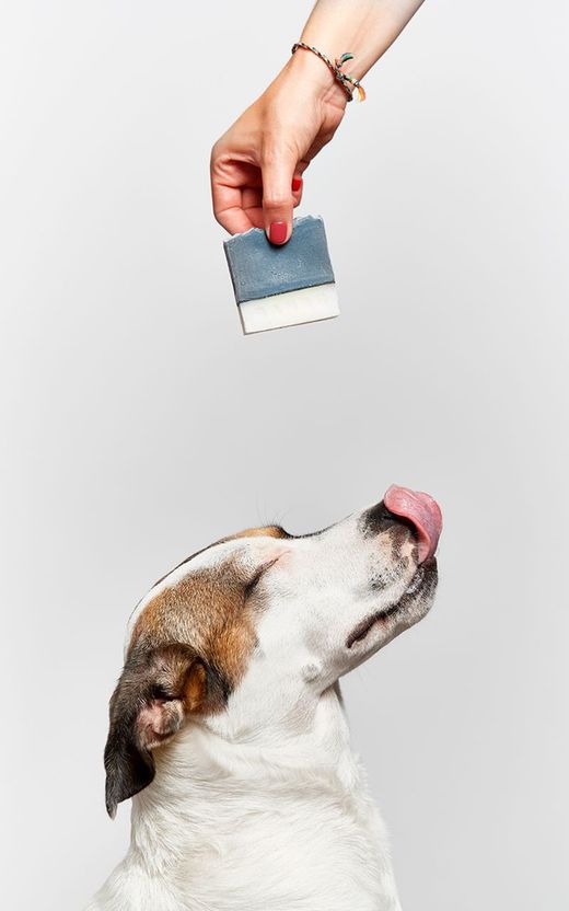 Cosmética natural para mascotas