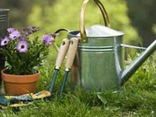 jardim e ferramentas