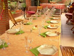 10 piastre esagonali