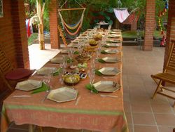 10 piastre esagonali