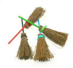 L'amuleto 4 scope spazza i dolori