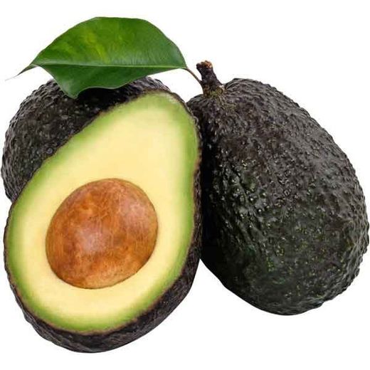 Arbol del Aguacate Hass