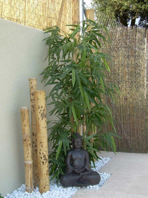 Cañas de bambú decorativas - Tienda de productos biodegradables