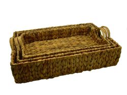 vassoi in fibra vegetale