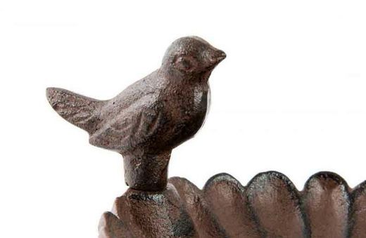 bebedor de pássaros