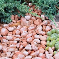 Ciottoli marmo rosso (sacco 20 kg)