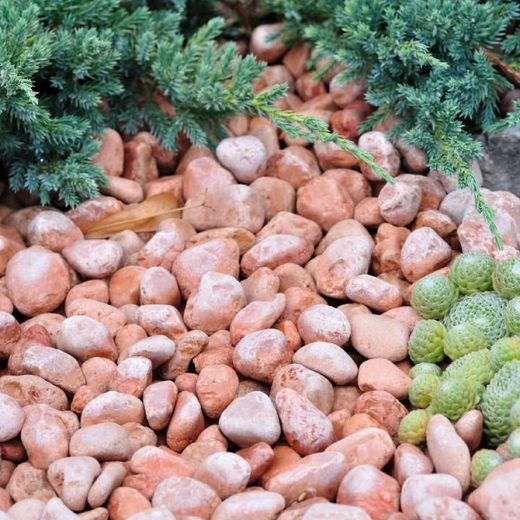 Ciottoli marmo rosso (sacco 20 kg)