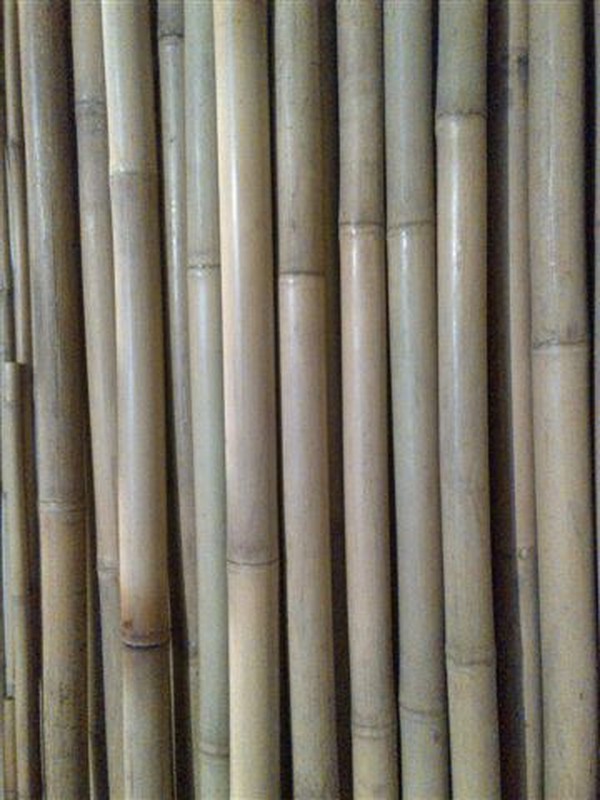 Caña bambú Tonkin Manualidades — dbambu