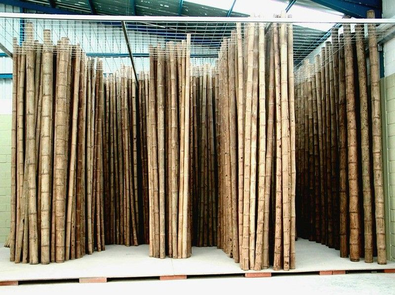 Caña de bambú Guadua 100/120 mm Ø — dbambu