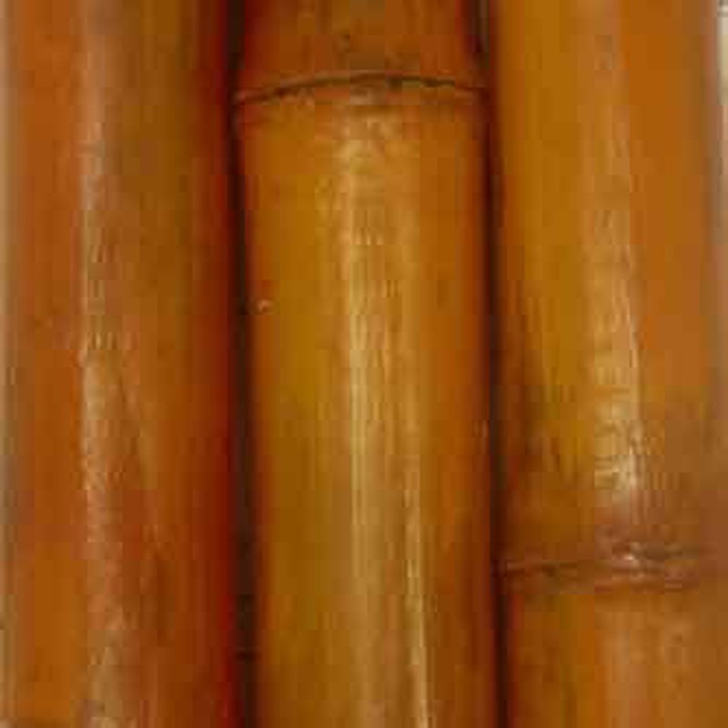 Las cañas de bambú pintadas de colores son muy decorativas y elegantes