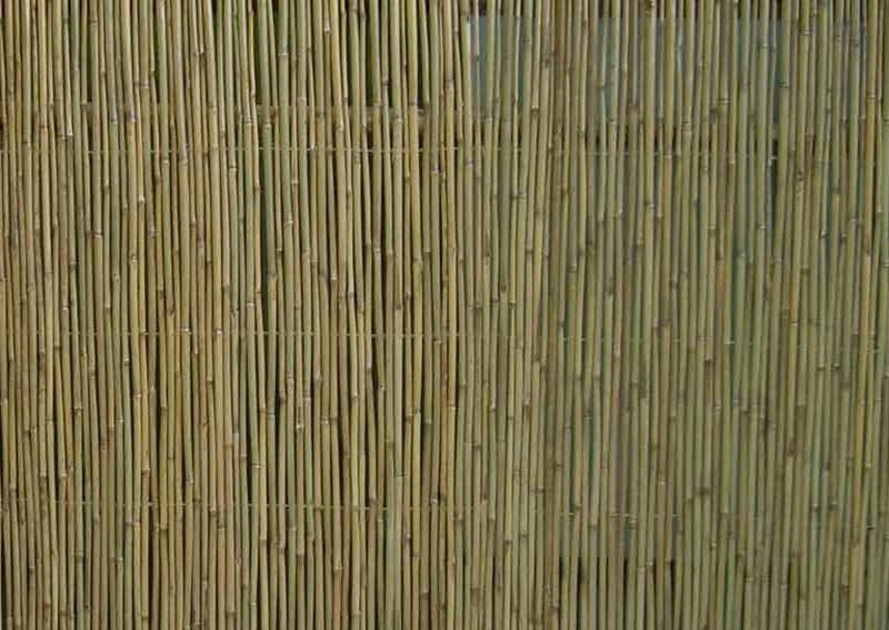 Cañizo de bambú Bambooflex — dbambu