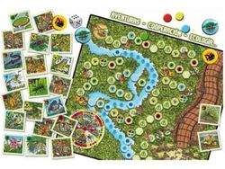 Expédition Amazon (6-14 ans)