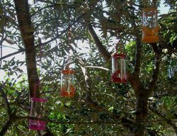 Faroles mariposa de colores con vela perfumada