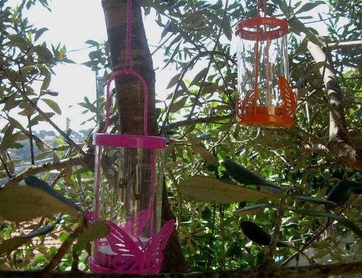 Faroles mariposa de colores con vela perfumada