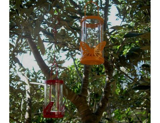 Faroles mariposa de colores con vela perfumada