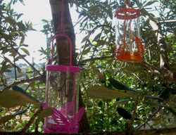 Faroles mariposa de colores con vela perfumada