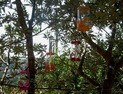 Faroles mariposa de colores con vela perfumada