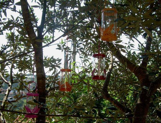 Faroles mariposa de colores con vela perfumada