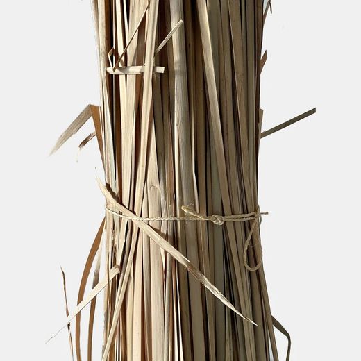 Faire Enea Naturel d'origine nationale 300 cm de haut 4 kg