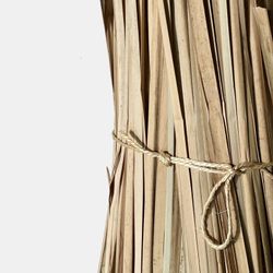 Haz Enea Natural de origen nacional 300 cm de alto 4 kg