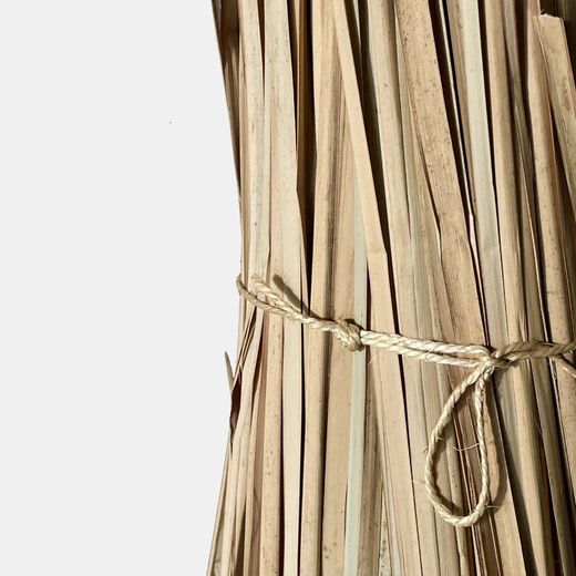 Haz Enea Natural de origen nacional 300 cm de alto 4 kg