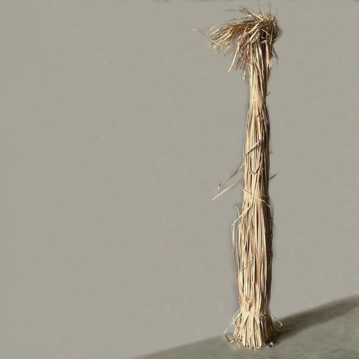 Haz Enea Natural de origen nacional 300 cm de alto 4 kg