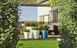 Vaso modello viola 30x32cm Nero