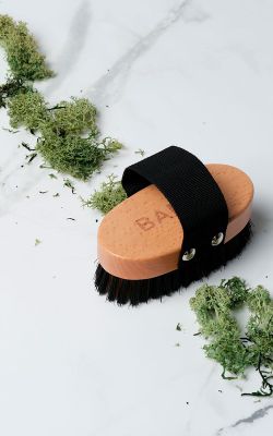 peigne pour animaux de compagnie