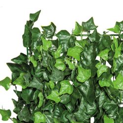 Clôtures Haies Artificielles pour Jardin