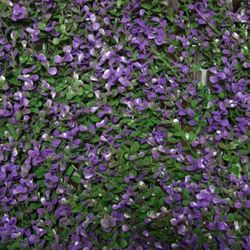 Clôtures Haies Artificielles pour Jardin