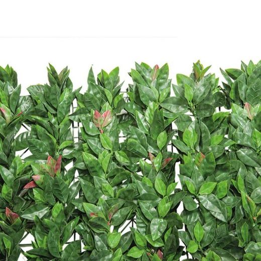 Clôtures Haies Artificielles pour Jardin