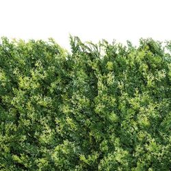 Clôtures Haies Artificielles pour Jardin