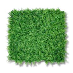 Clôtures Haies Artificielles pour Jardin