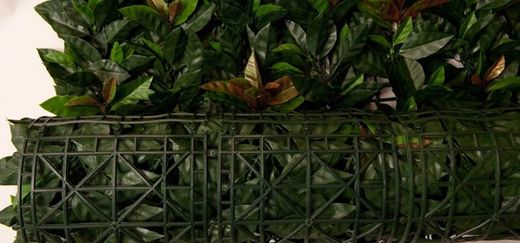 Valla seto artificial Photinia